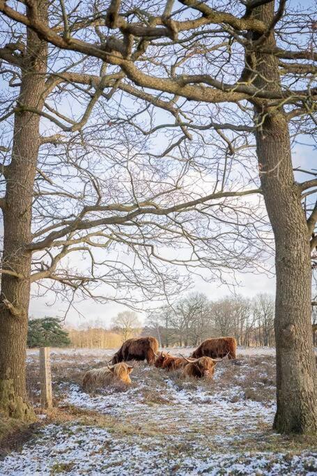 Leva - Logeren In Drenthe Villa Doldersum Exterior foto