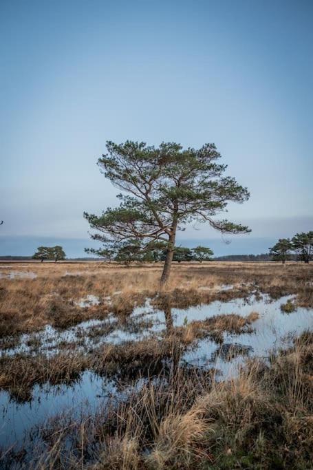 Leva - Logeren In Drenthe Villa Doldersum Exterior foto