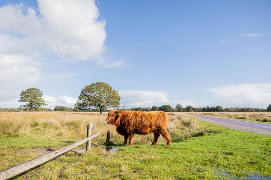 Leva - Logeren In Drenthe Villa Doldersum Exterior foto